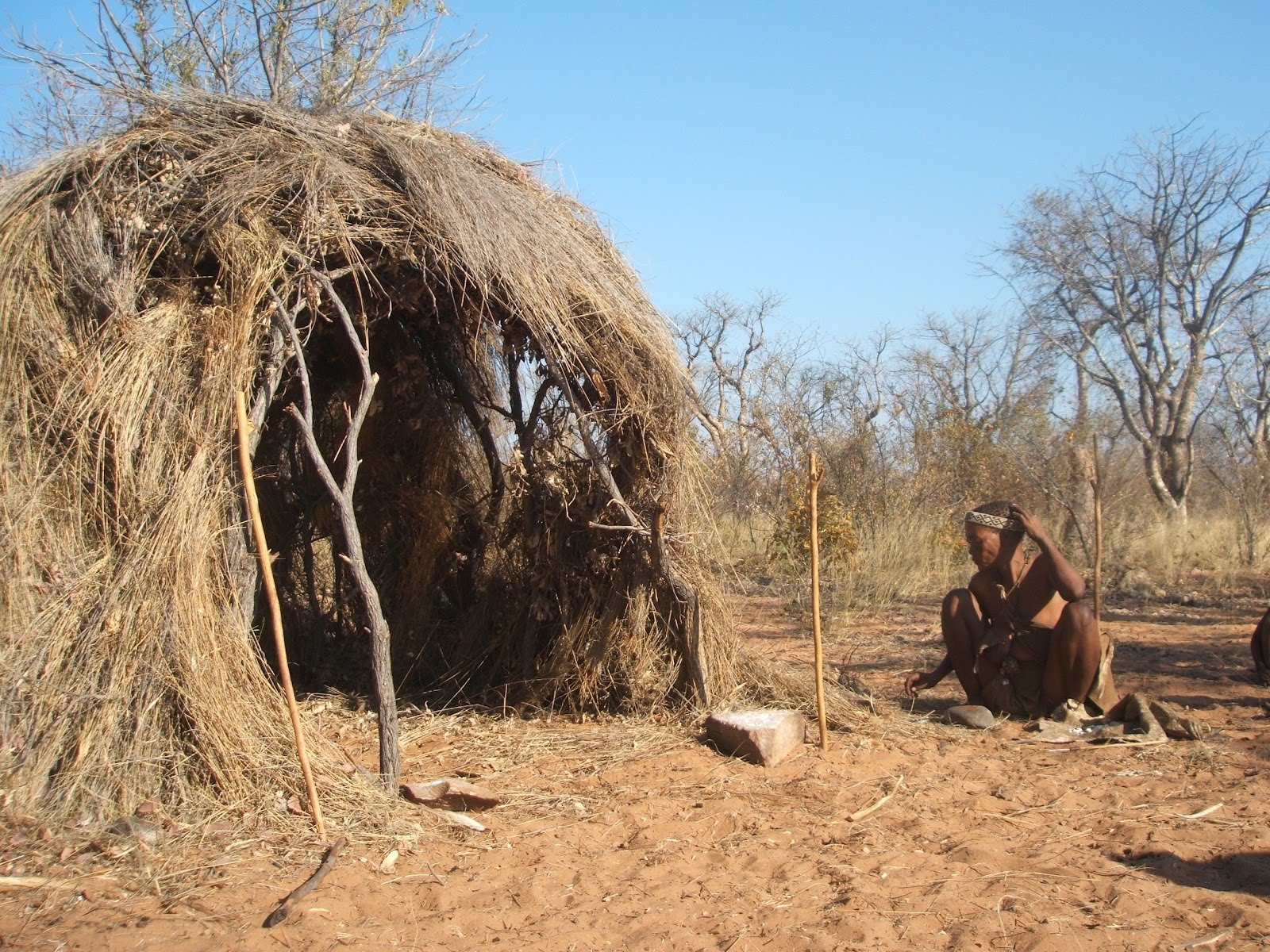 san-bushmen-shelter